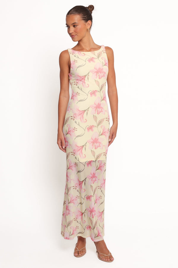 Petal and Pup USA DRESSES Brissa Maxi Dress - Yellow Floral