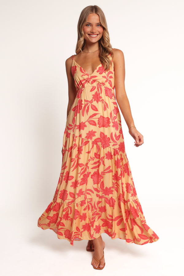 Petal and Pup USA DRESSES Forbes Maxi Dress - Red Floral