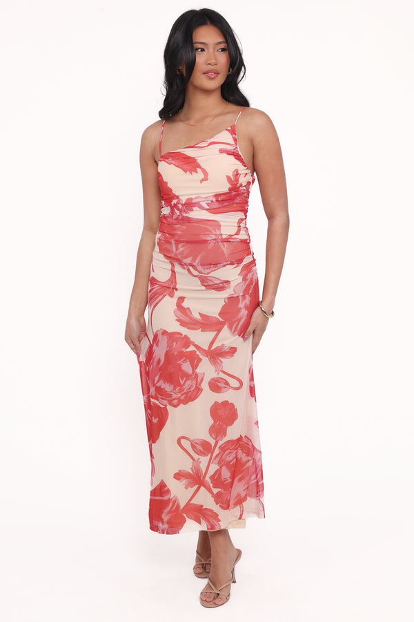 Petal and Pup USA DRESSES Jasmine Maxi Dress - Red Floral
