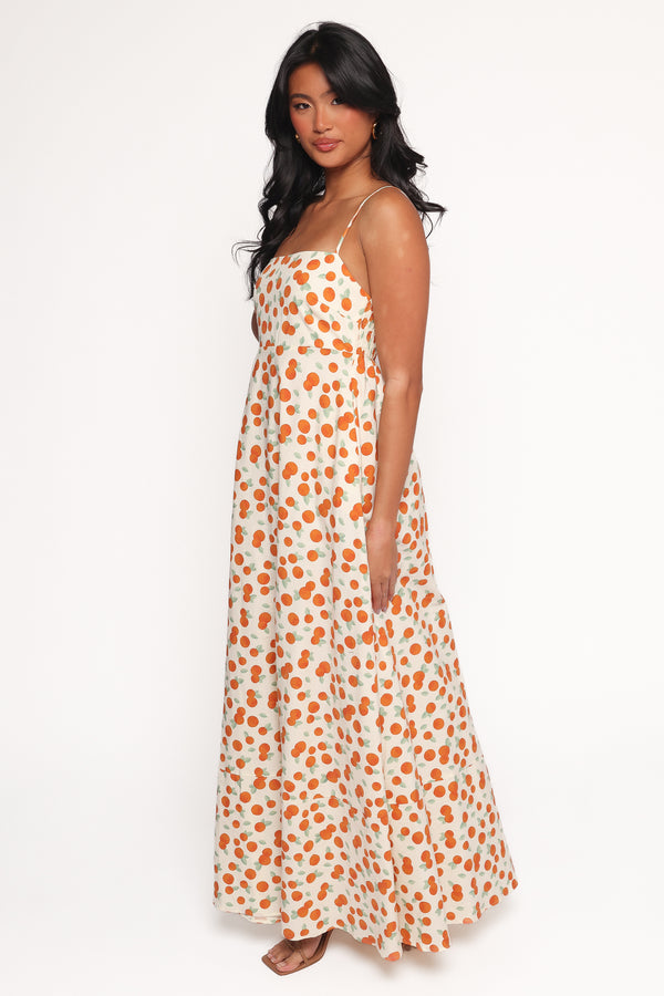 Petal and Pup USA DRESSES Leah Maxi Dress - Clementine Print